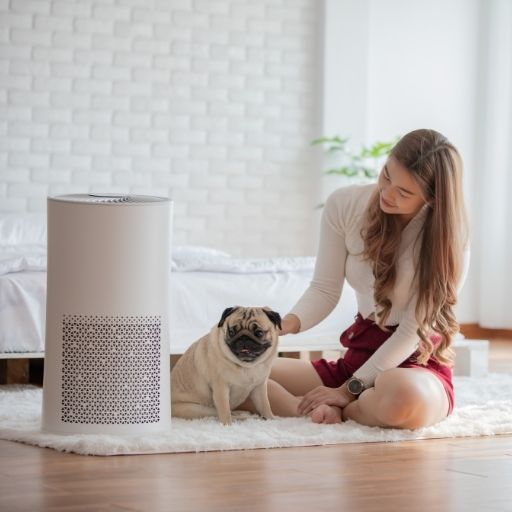 humidifier for dogs