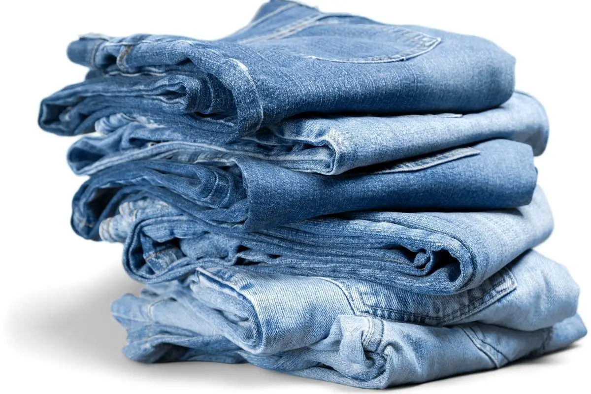 best garment steamer for jeans