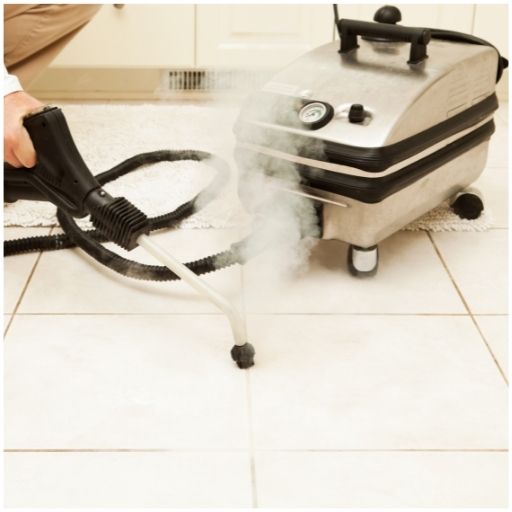 vapor clean steamer