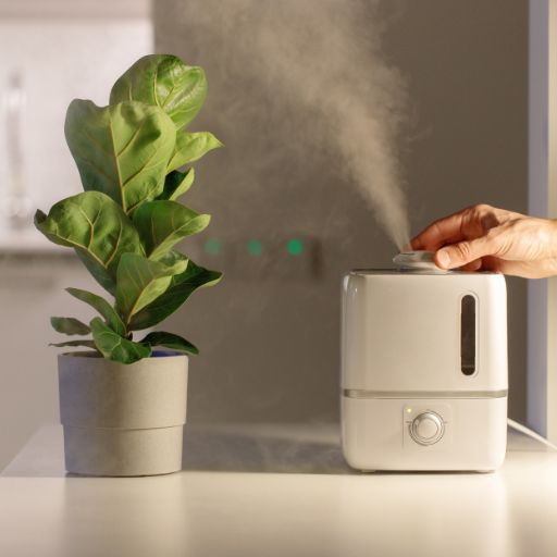 Air humidifier for allergies