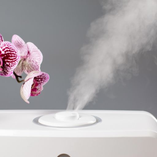 Humidifier for allergies