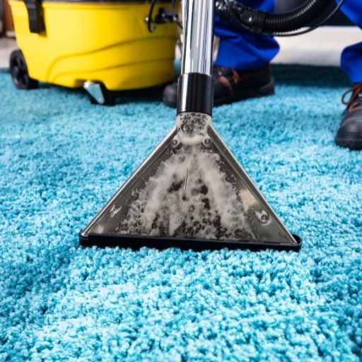 carpet steam cleaning vs hot water