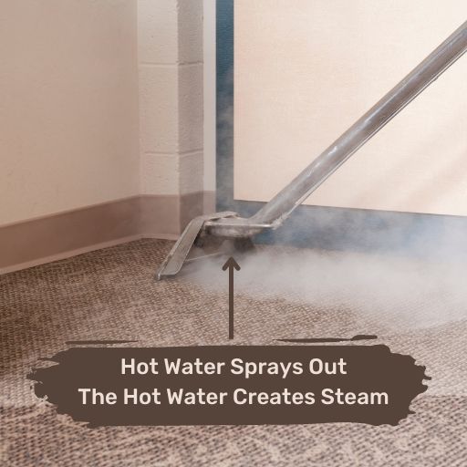 hot water extraction vs steam cleaning carpet