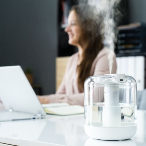 humidifier for allergies and sinus
