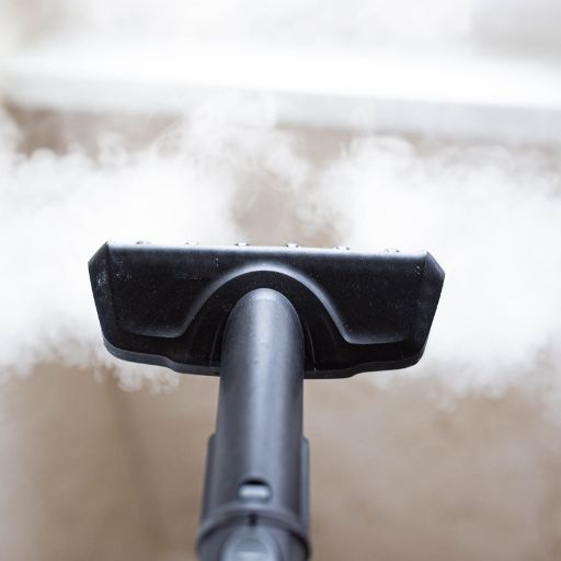 pressure washer or steam cleaner