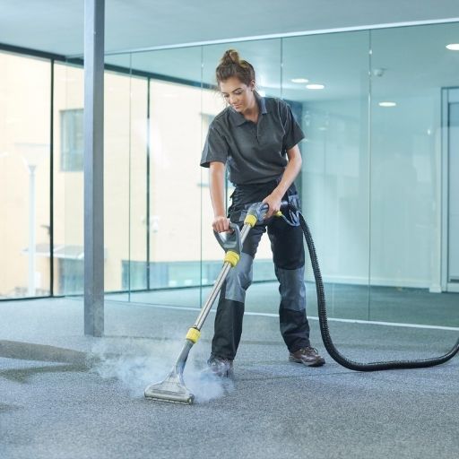 steam cleaner on carpet stains