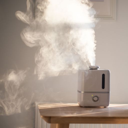 does a humidifier help with dry skin