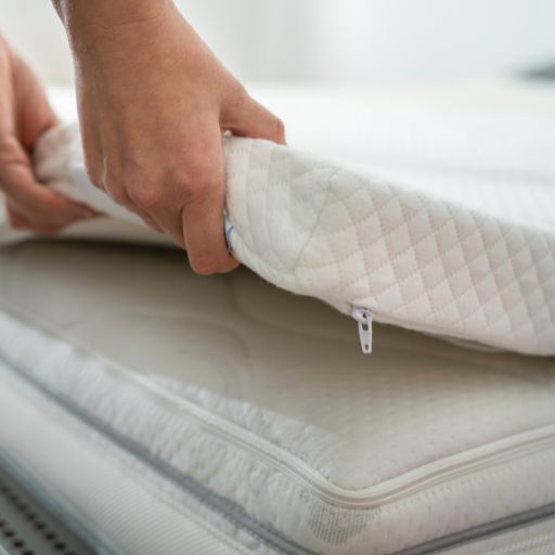 can bed bugs live in memory foam toppers