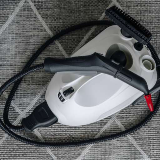 all purpose steam cleaner