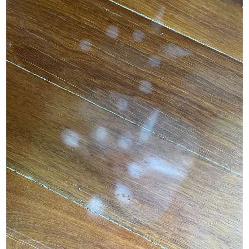 using steam on hardwood floor