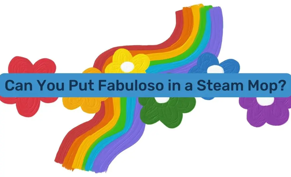 can you put fabuloso in a steam mop