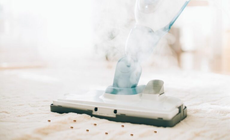 Does Steam Cleaning Kill Fleas?