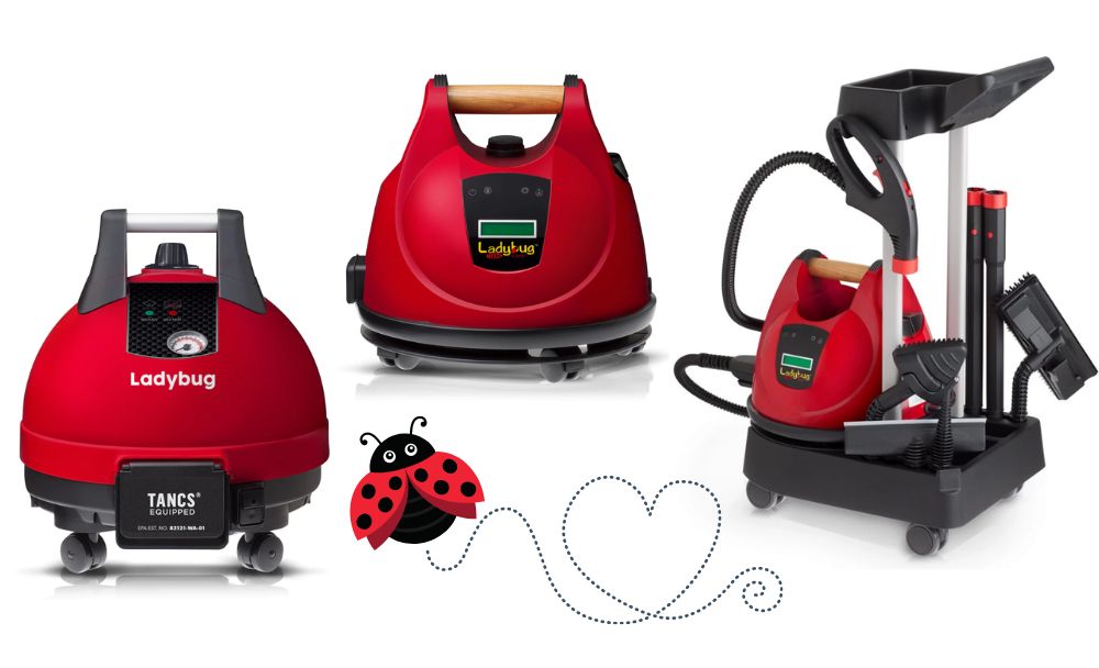 ladybug steam cleaner