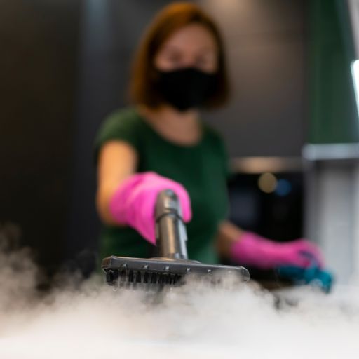 Does Steam Cleaning Kill Fleas? Yes! How to Guide 2024