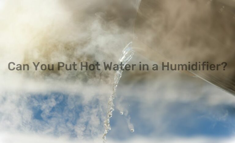 Can You Put Hot Water in a Humidifier?