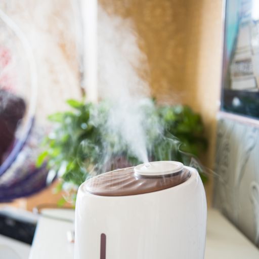 humidifier for dusty room